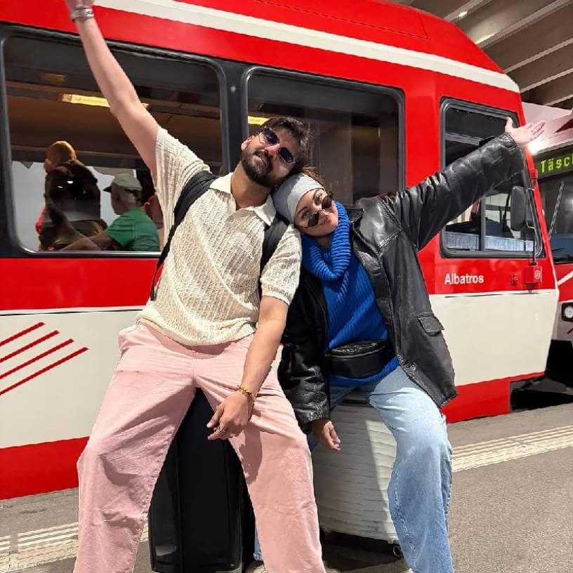 Description of the pic