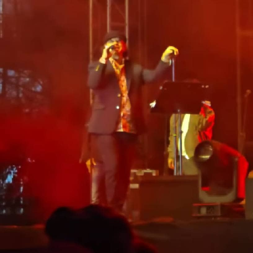 Description of the pic