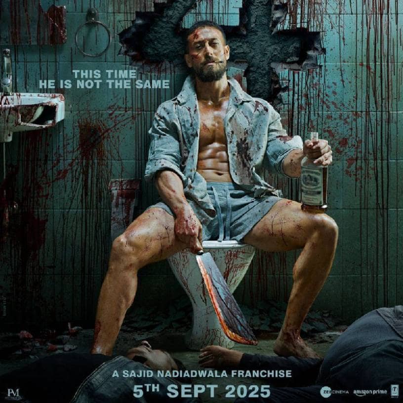 Description of the pic