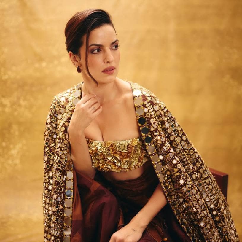 Description of the pic