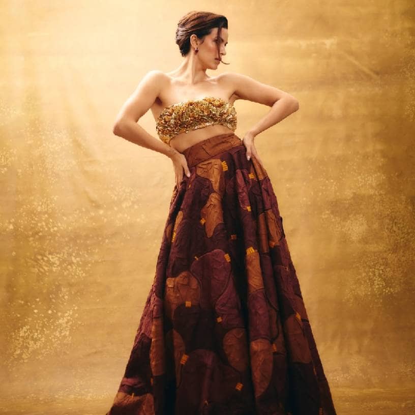 Description of the pic