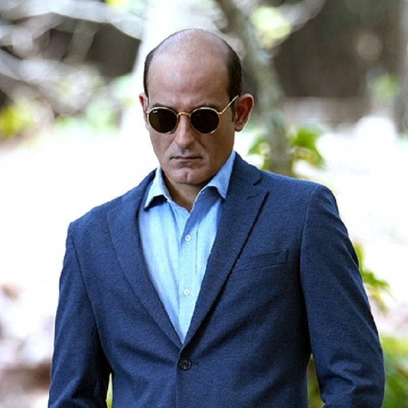 Description of the pic