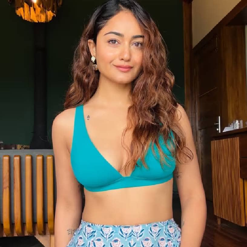 Description of the pic