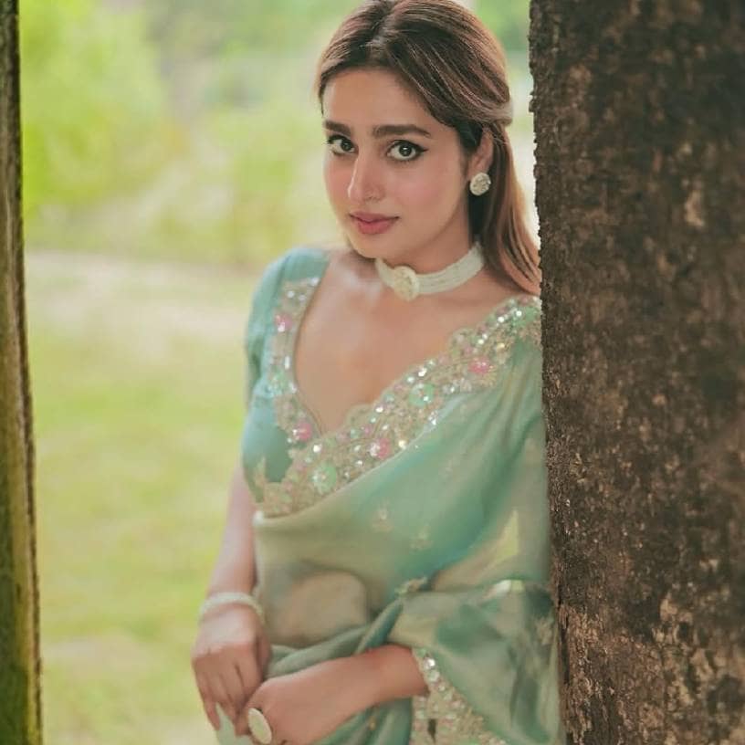 Description of the pic