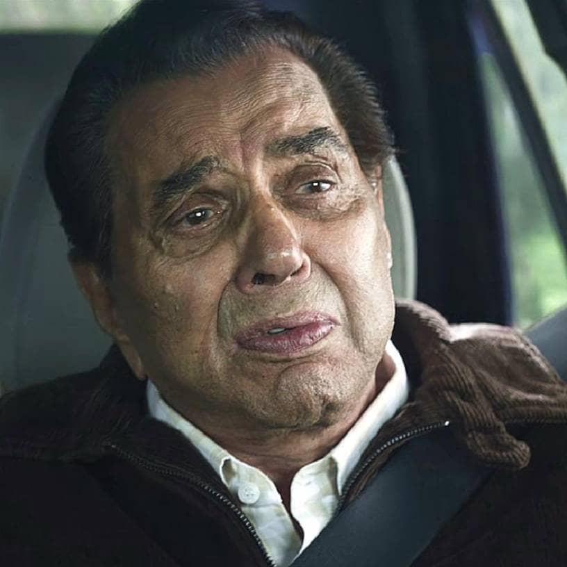 Description of the pic