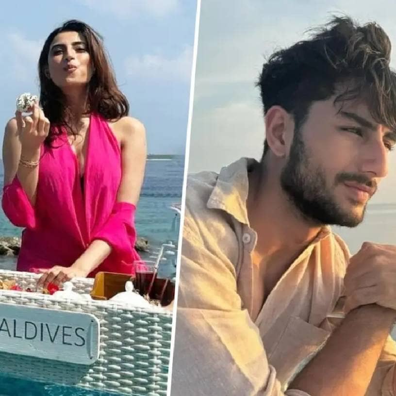 Description of the pic