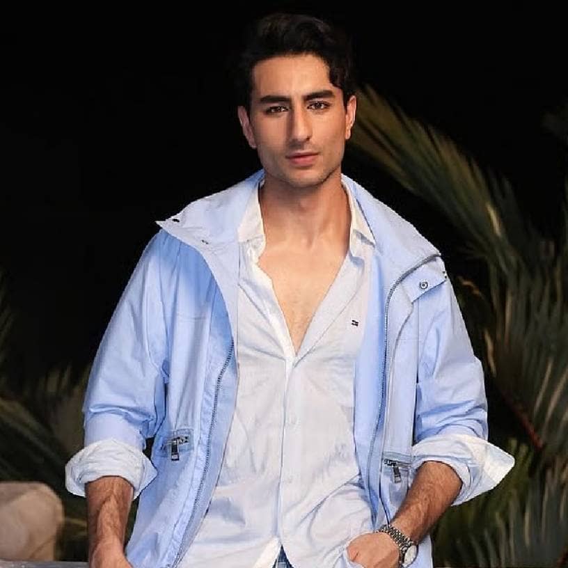 Description of the pic