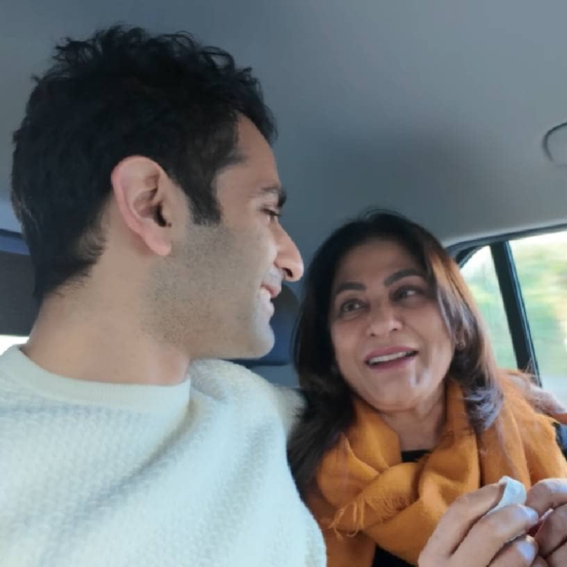 Description of the pic