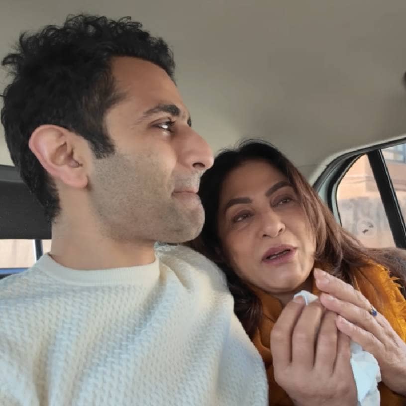 Description of the pic