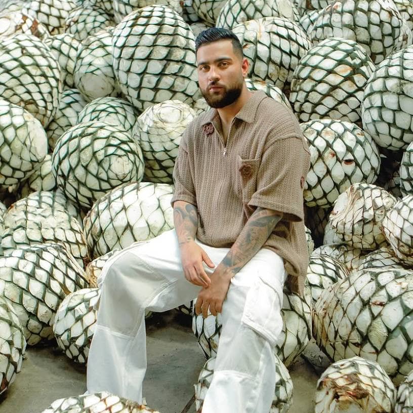 Description of the pic