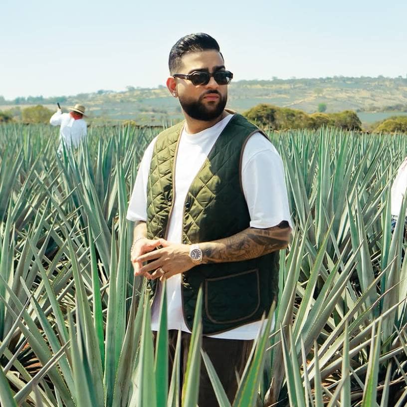 Description of the pic