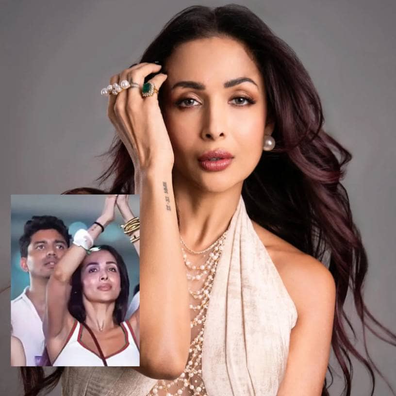 Description of the pic