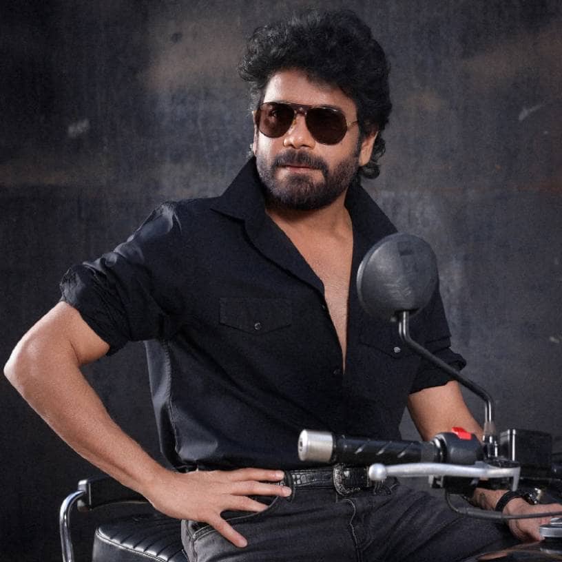 Description of the pic