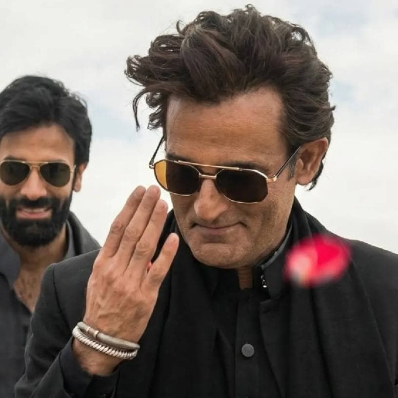 Description of the pic