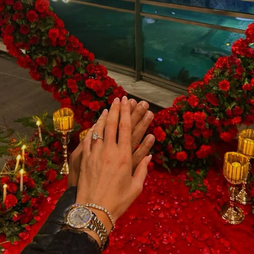 Description of the pic