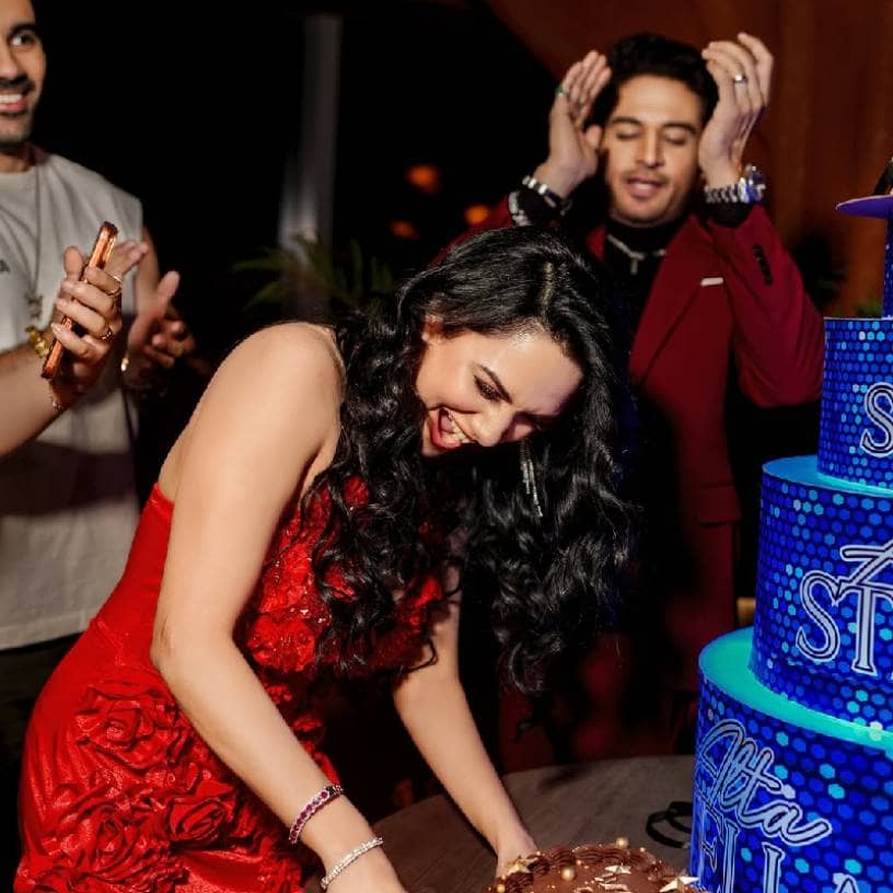 Description of the pic