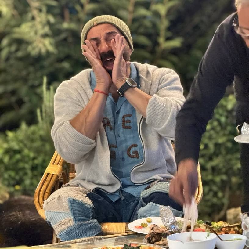 Description of the pic