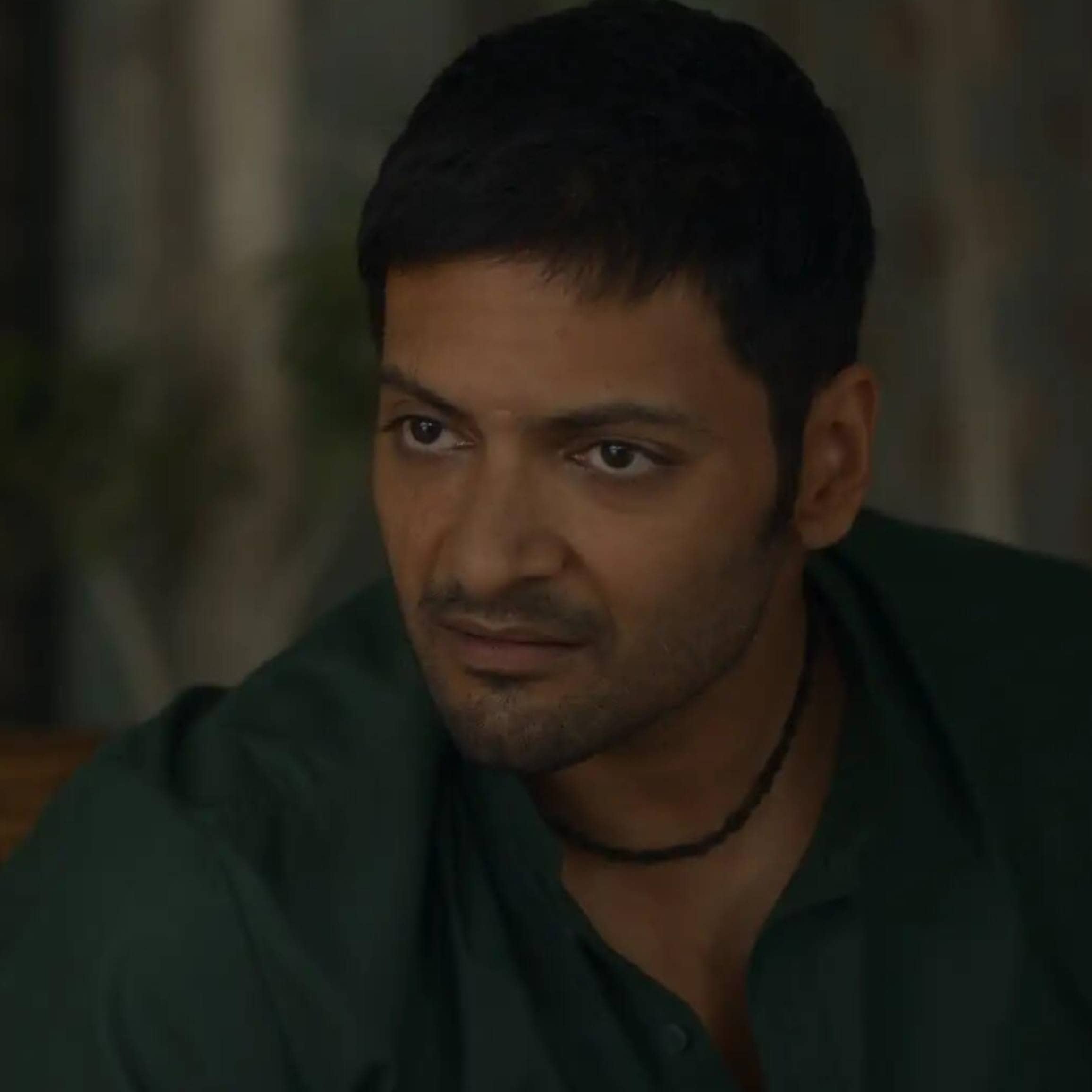 Description of the pic