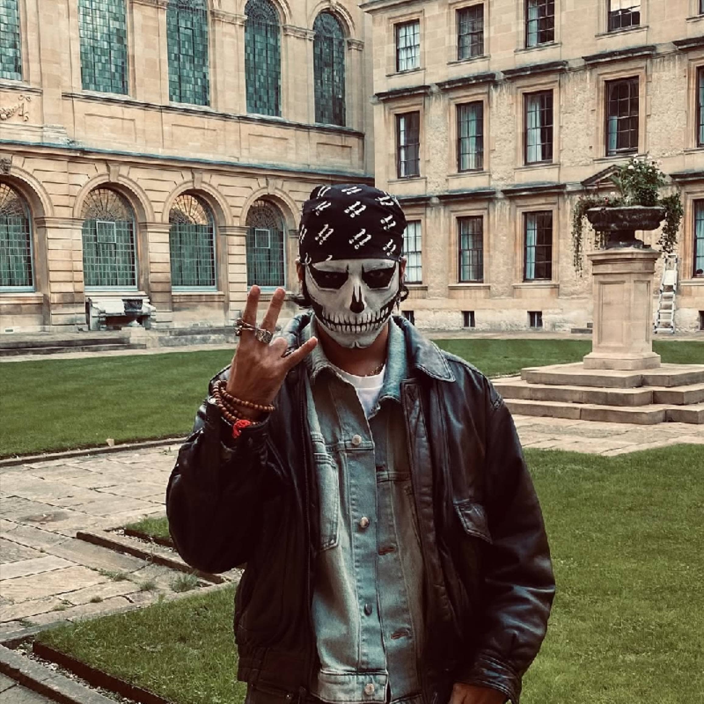 Description of the pic