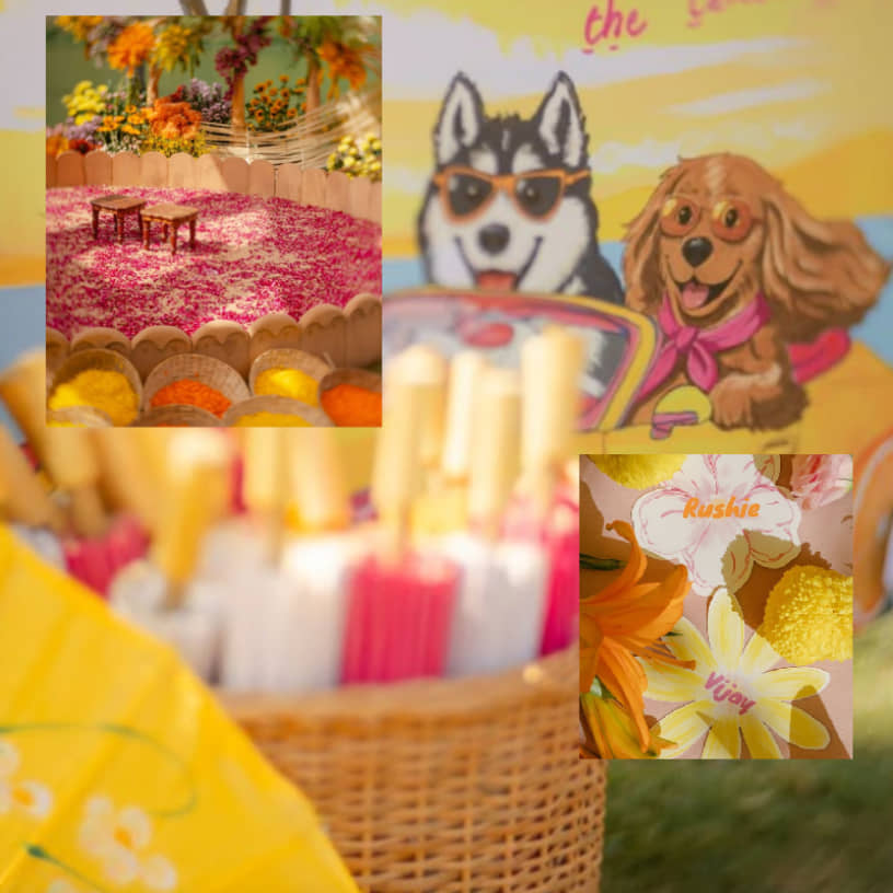 Description of the pic