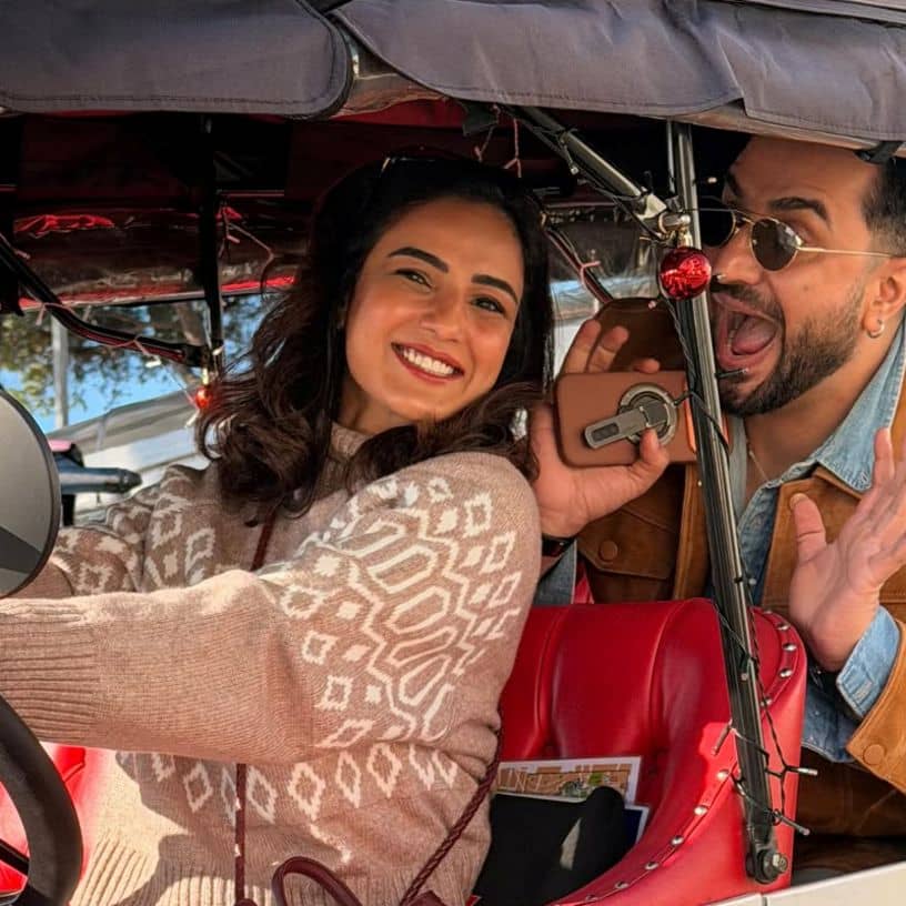 Description of the pic