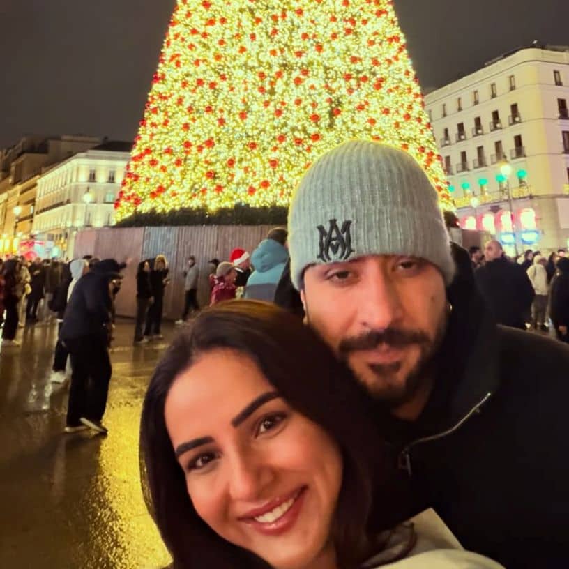 Description of the pic