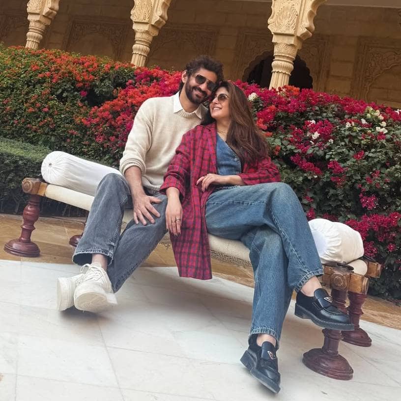 Description of the pic