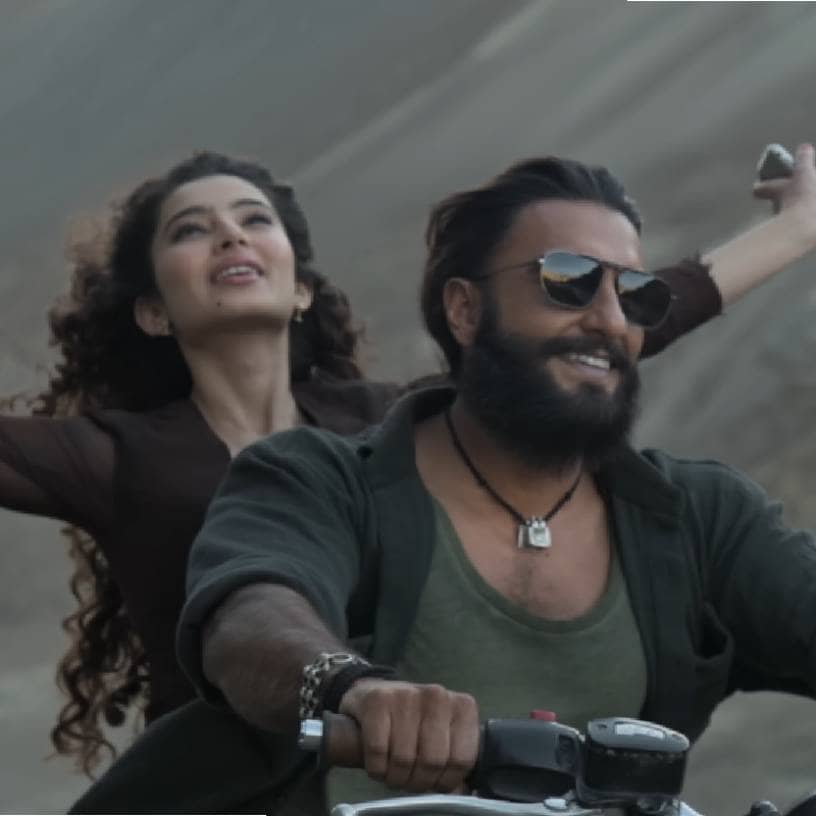 Description of the pic