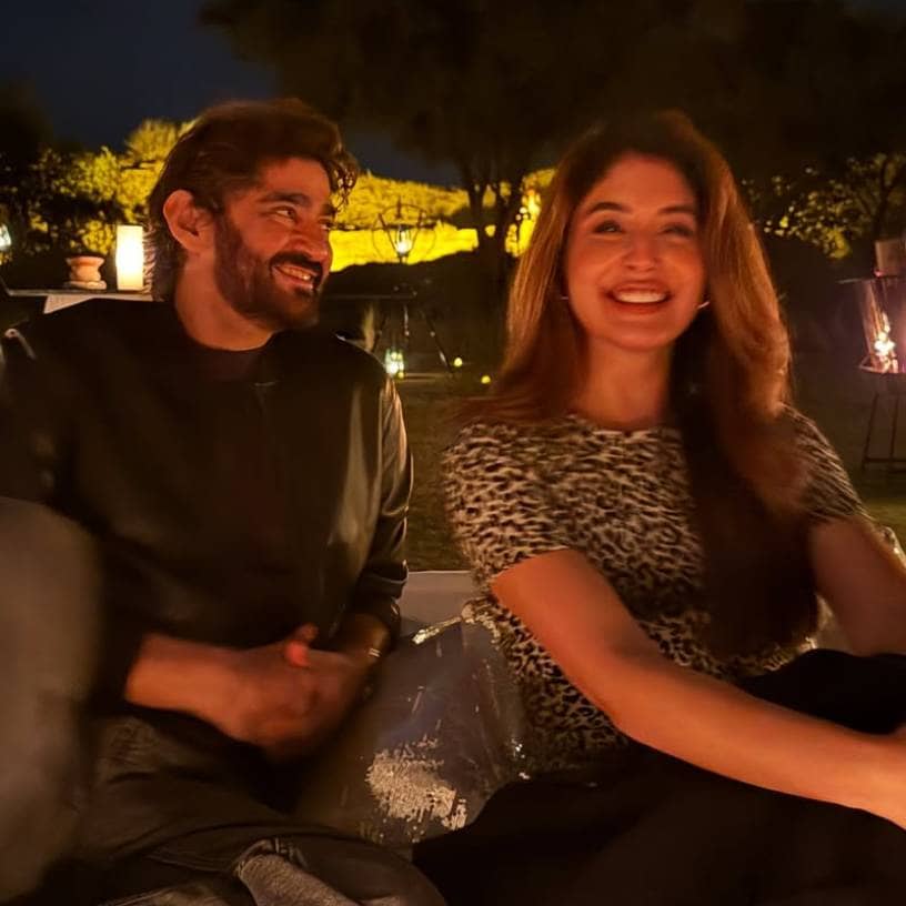 Description of the pic