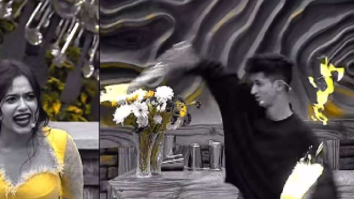 Description of the pic