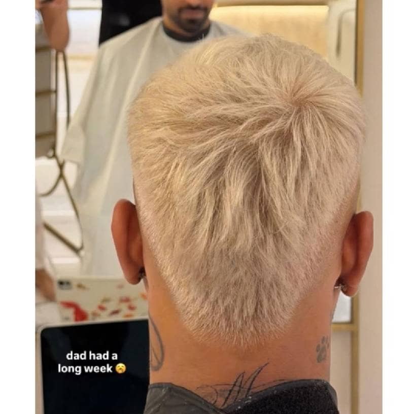 Description of the pic