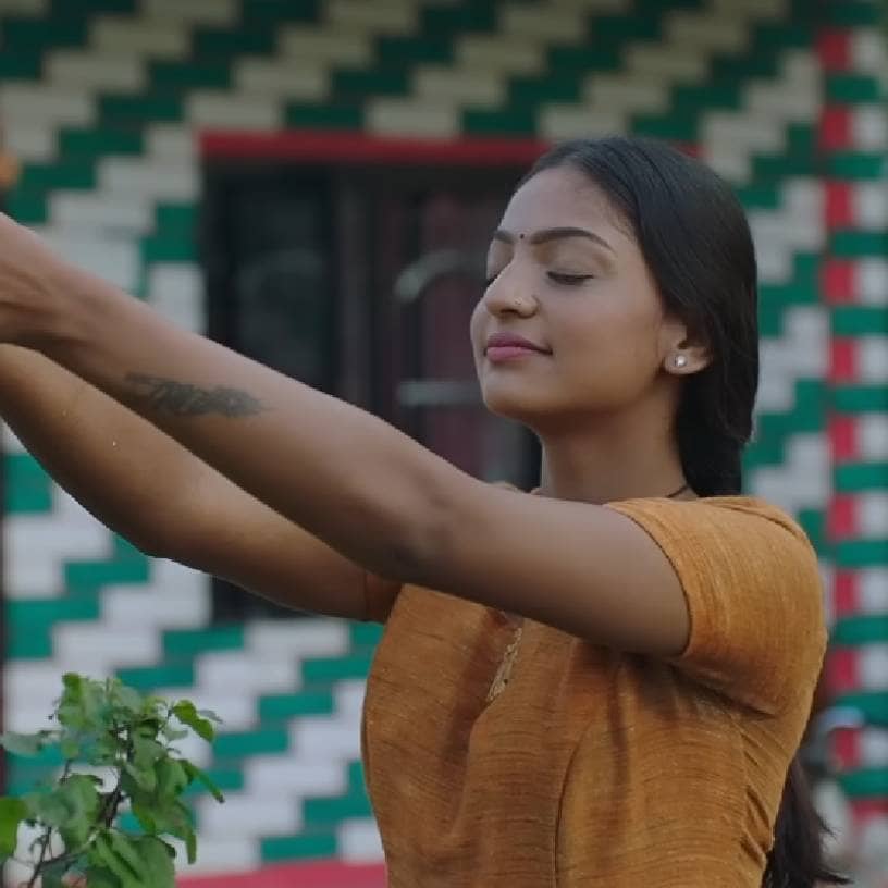 Description of the pic