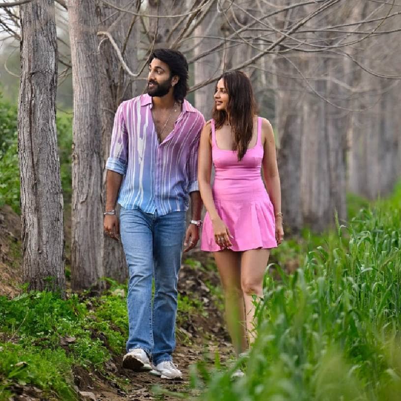 Description of the pic