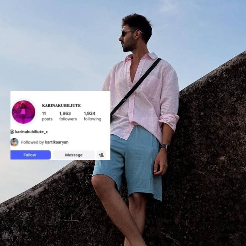 Description of the pic