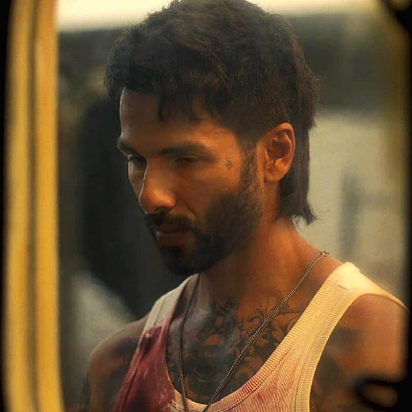 Description of the pic