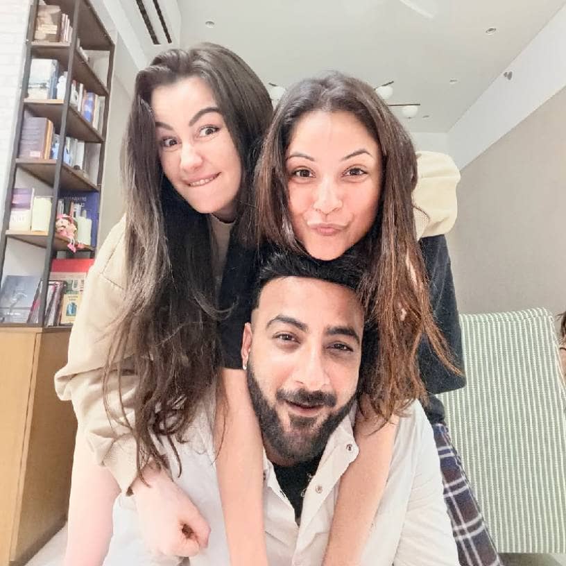 Description of the pic