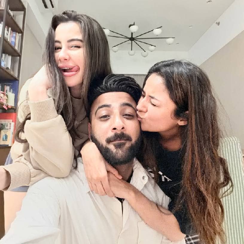 Description of the pic