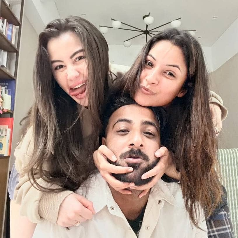 Description of the pic