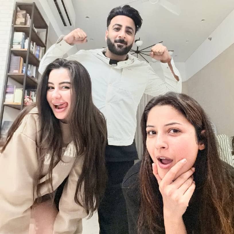 Description of the pic