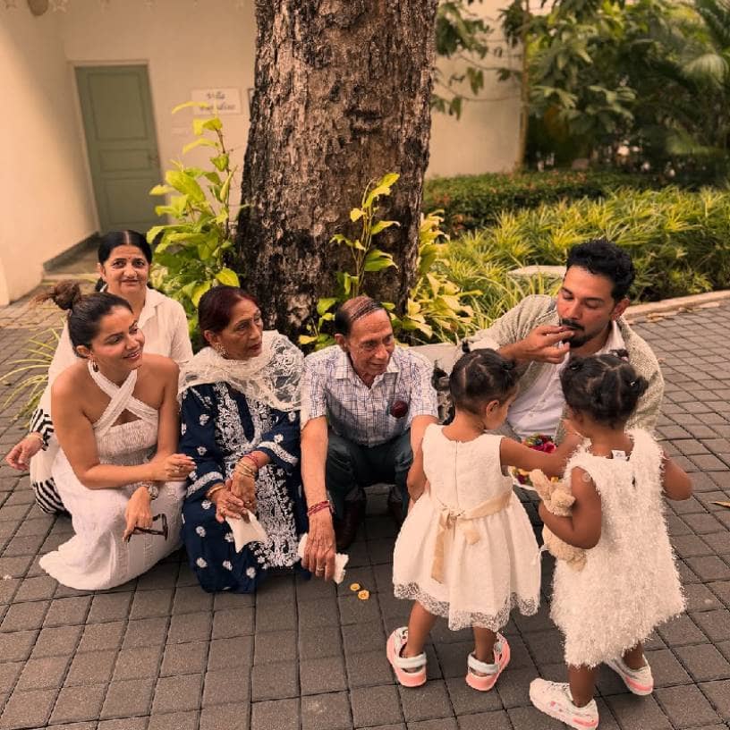 Description of the pic