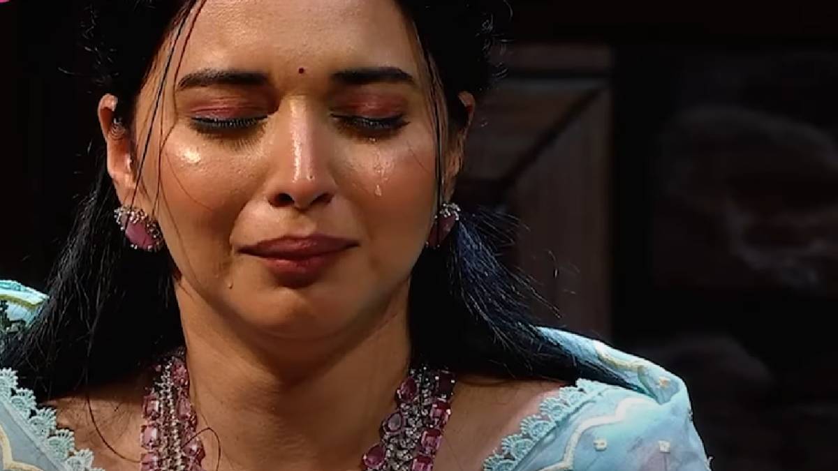 Description of the pic