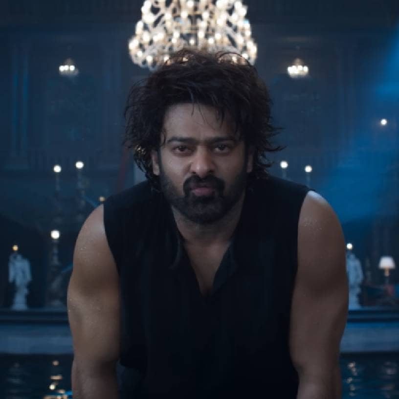 Description of the pic