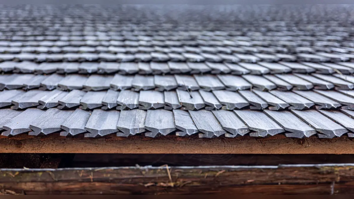 NGT seeks scientific review on asbestos roofing in schools, industry says asbestos-cement sheets safe and regulated