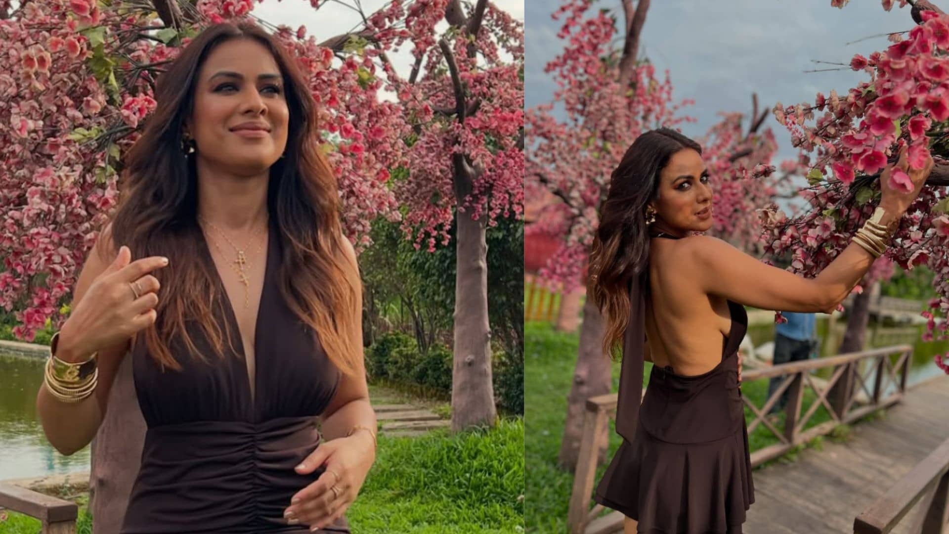 Description of the pic