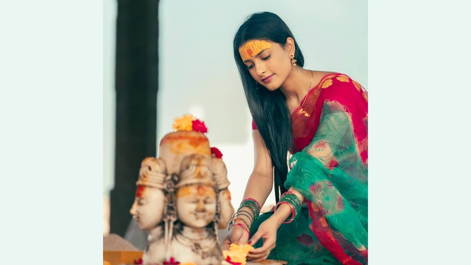 Description of the pic