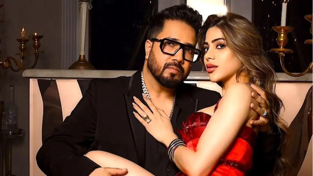 Description of the pic