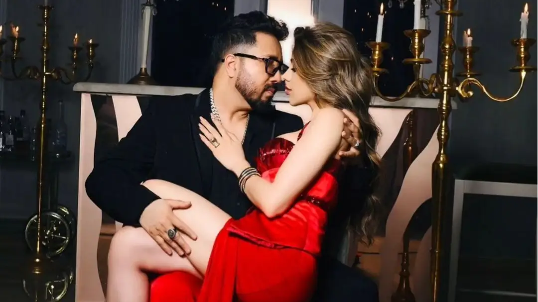 Description of the pic