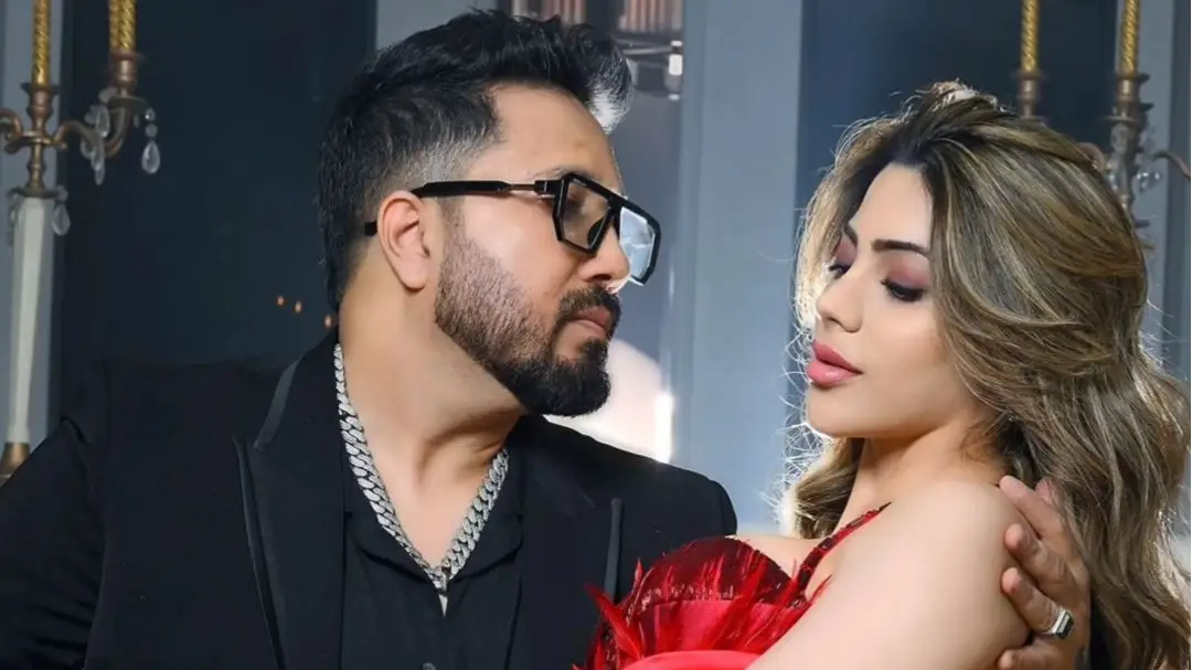 Description of the pic