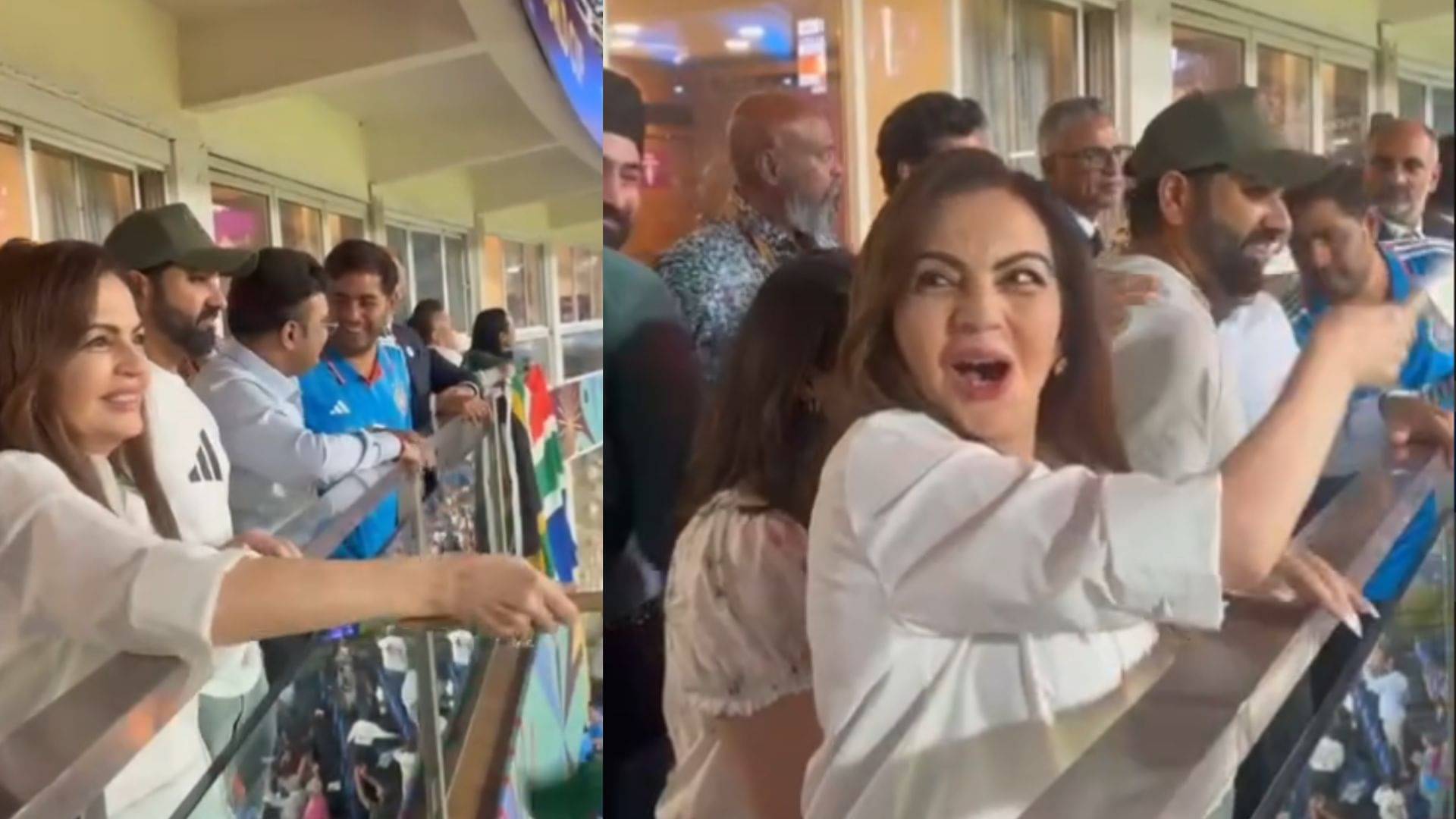 Description of the pic