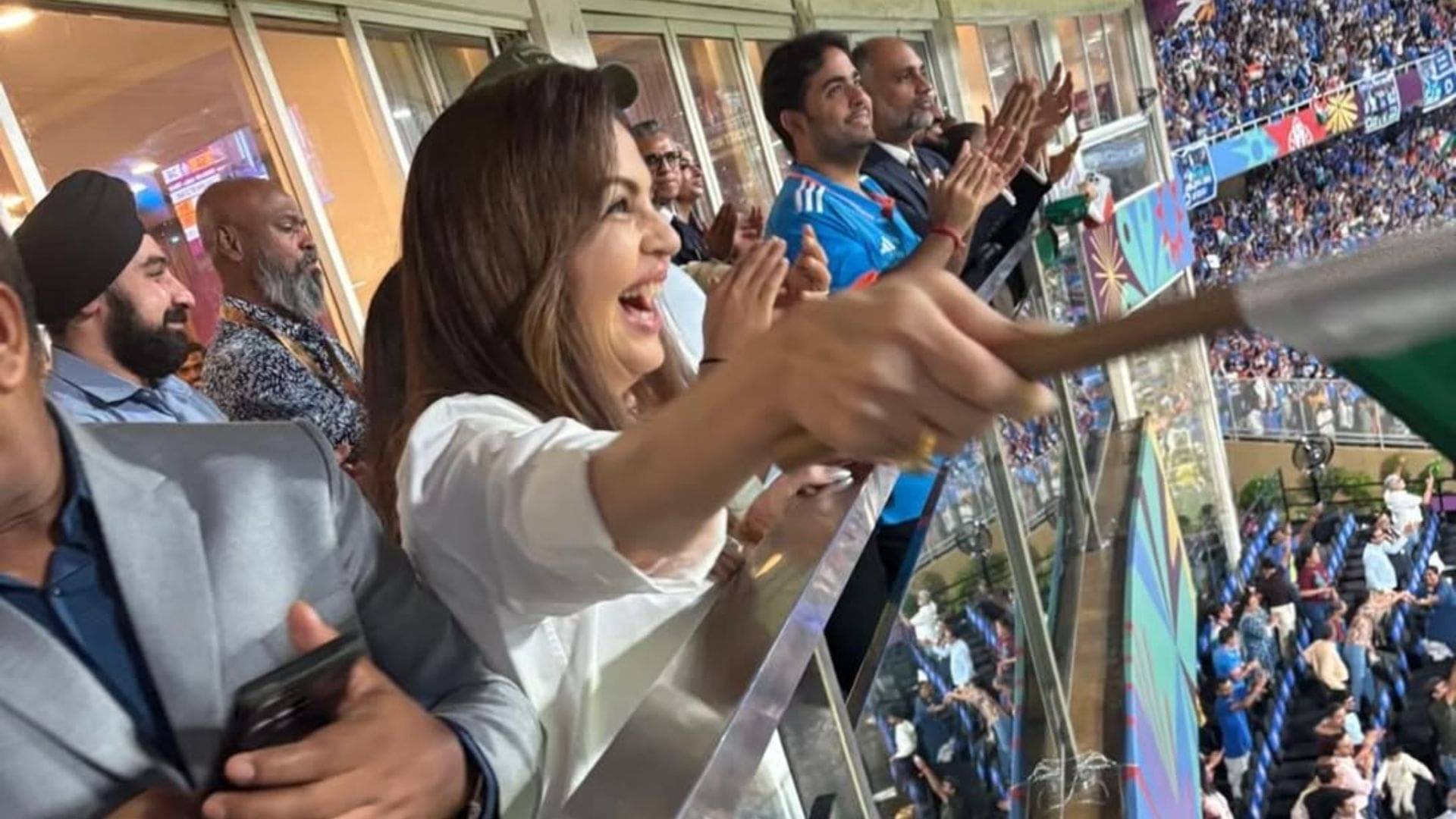 Description of the pic